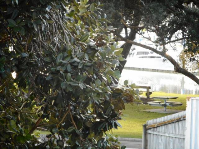 Apartment By The Marina Whitianga Exterior foto